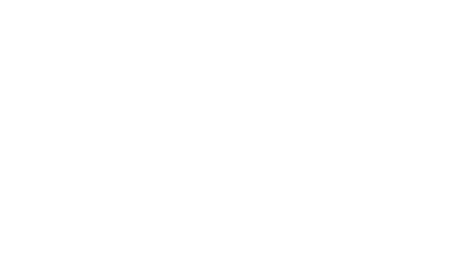 Freedom Plan Logo e1649081937237
